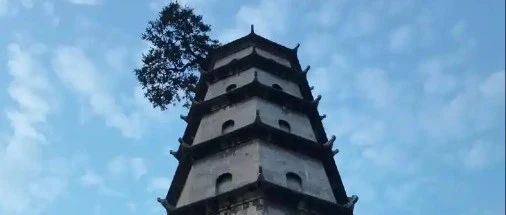 千年文脉与当代困境:黄冈的定位迷思